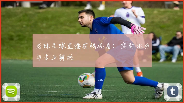 龙珠足球直播在线观看：实时比分与专业解说