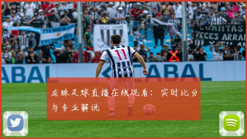 龙珠足球直播在线观看：实时比分与专业解说